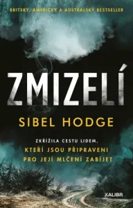 Zmizelí - Sibel Hodge - e-kniha