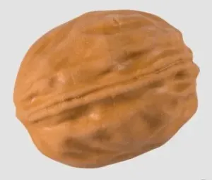 Guma - Vlašský ořech
