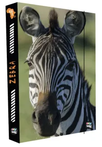 KARTON PP - Box na sešity A4 Jumbo Zebra