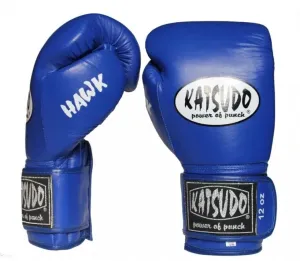 Katsudo box rukavice Hawk, modré - 14 OZ #5792615