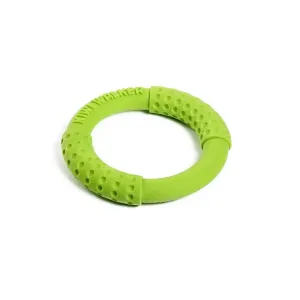 Hračka Kiwi Walker TPR guma kruh zelený 13cm