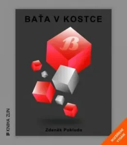 Baťa v kostce - Zdeněk Pokluda - e-kniha #2956621