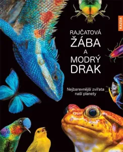 Andrea Köhrsenová Rajčatová žába a modrý drak Provedení: Tištěná kniha