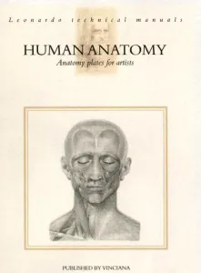 VI anatomie člověka