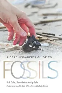 A Beachcomber's Guide to Fossils (Gale Bob)(Paperback)