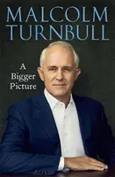 A Bigger Picture (Turnbull Malcolm)(Pevná vazba)