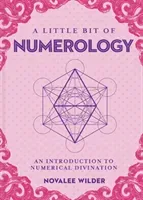 A Little Bit of Numerology, 21: An Introduction to Numerical Divination (Wilder Novalee)(Pevná vazba)