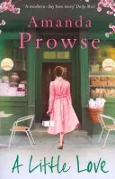 A Little Love (Prowse Amanda)(Paperback)