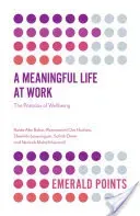 A Meaningful Life at Work: The Paradox of Wellbeing (Abu Bakar Raida)(Paperback)