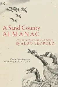 A Sand County Almanac: And Sketches Here and There (Leopold Aldo)(Paperback)