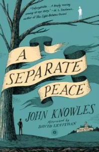 A Separate Peace (Knowles John)(Paperback)