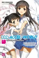 Accel World, Vol. 18 (Light Novel): The Black Dual Swordsman (Kawahara Reki)(Paperback)