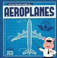 Aeroplanes (Holmes Kirsty)(Pevná vazba)