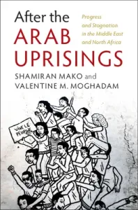 After the Arab Uprisings: Progress and Stagnation in the Middle East and North Africa (Mako Shamiran)(Paperback)