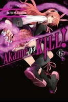 Akame Ga Kill!, Volume 6 (Takahiro)(Paperback)