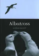 Albatross (Barwell Graham)(Paperback)