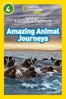 Amazing Animal Journeys - Level 4 (Marsh Laura)(Paperback / softback)