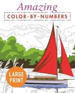 Amazing Color by Numbers Large Print (Arcturus Publishing)(Paperback)