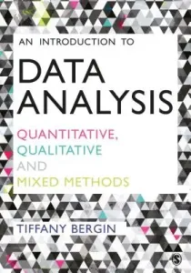 An Introduction to Data Analysis (Bergin Tiffany)(Paperback)