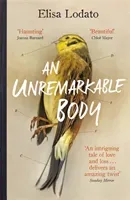 An Unremarkable Body: A Stunning Literary Debut with a Twist (Lodato Elisa)(Paperback)