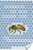 Anatomy of the Honey Bee (Snodgrass R. E.)(Paperback)