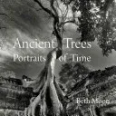 Ancient Trees: Portraits of Time (Moon Beth)(Pevná vazba)