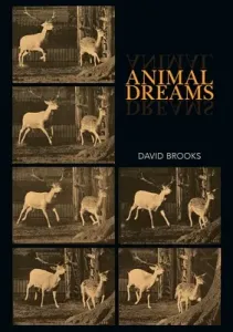 Animal Dreams (Brooks David)(Paperback)
