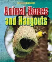 Animal Homes and Hang-outs (Spilsbury Louise)(Paperback / softback)