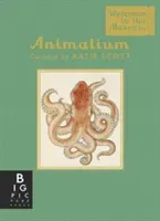 Animalium (Mini Gift Edition) (Broom Jenny)(Pevná vazba)