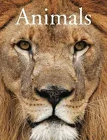 Animals (Alderton David)(Paperback / softback)
