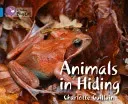 Animals in Hiding (Guillain Charlotte)(Paperback)