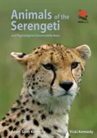 Animals of the Serengeti: And Ngorongoro Conservation Area (Kennedy Adam Scott)(Paperback)