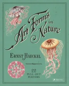 Art Forms in Nature: 22 Pull-Out Posters (Haeckel Ernst)(Paperback)