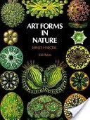Art Forms in Nature (Haeckel Ernst)(Paperback)