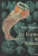 Art Forms in Nature: The Prints of Ernst Haeckel (Breidbach Olaf)(Paperback)