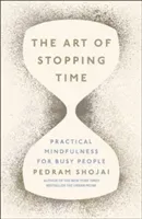 Art of Stopping Time (Shojai Pedram)(Pevná vazba)
