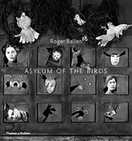 Asylum of the Birds (Ballen Roger)(Paperback / softback)