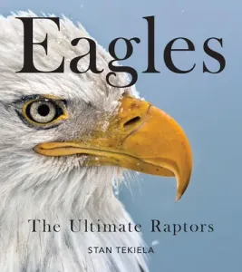 Bald Eagles: The Ultimate Raptors (Tekiela Stan)(Paperback)