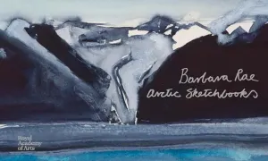 Barbara Rae: Arctic Sketchbooks (Rae Barbara)(Pevná vazba)