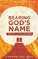 Bearing God's Name: Why Sinai Still Matters (Imes Carmen Joy)(Paperback)
