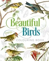 Beautiful Birds Colouring Book (Gray Peter)(Paperback / softback)