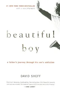 Beautiful Boy: A Father's Journey Through His Son's Addiction (Sheff David)(Paperback)