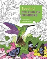 Beautiful Colour by Numbers (James Felicity)(Paperback / softback)