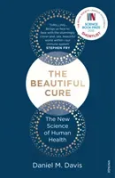 Beautiful Cure - The New Science of Human Health (Davis Daniel M)(Paperback / softback)