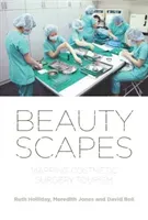 Beautyscapes: Mapping cosmetic surgery tourism (Holliday Ruth)(Pevná vazba)