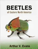 Beetles of Eastern North America (Evans Arthur V.)(Paperback)