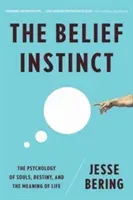 Belief Instinct: The Psychology of Souls, Destiny, and the Meaning of Life (Bering Jesse)(Paperback)