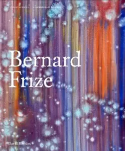 Bernard Frize (Rhodes David)(Pevná vazba)