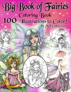 Big Book of Fairies Coloring Book - 100 Pages of Flower Fairies, Celestial Fairies, and Fairies with their Companions: 100 Line Art Illustrations to C (Harrison Molly)(Paperback)