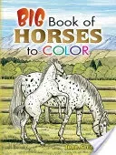 Big Book of Horses to Color (Green John)(Paperback)